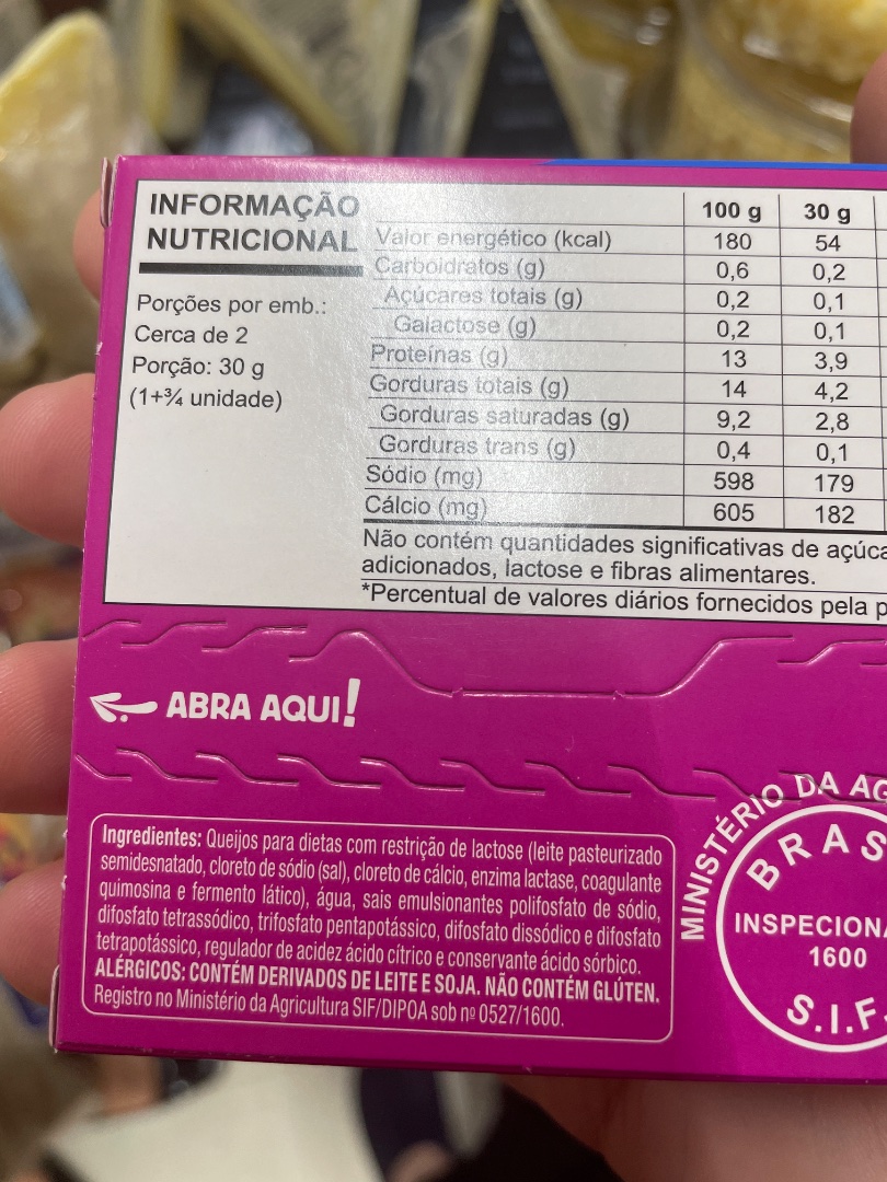 Queijo Processado Zero Lactose